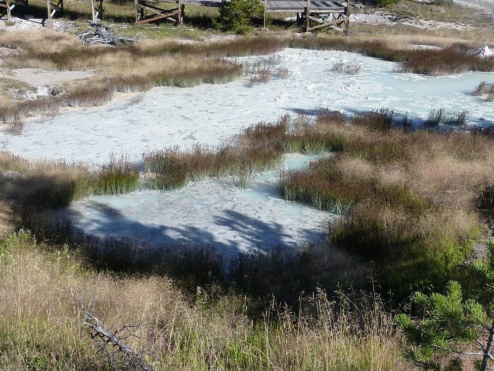 Yellowstone West Thumb Area (2).JPG